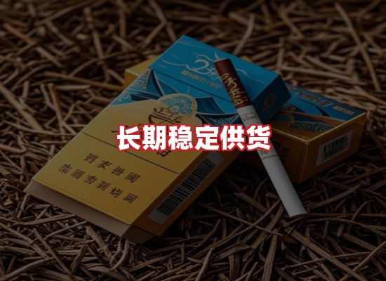 专业团队